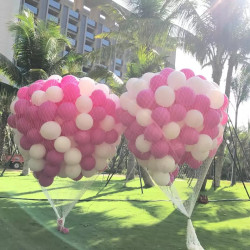 balloon release net