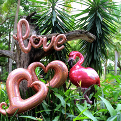 47 inches Rose Gold Love Script Foil balloon