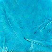 ريش بالون تركوازي 8جم ريش بالون تركوازي 8جم